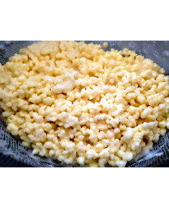 Milk Kefir Grains, 1 oz (30 g)